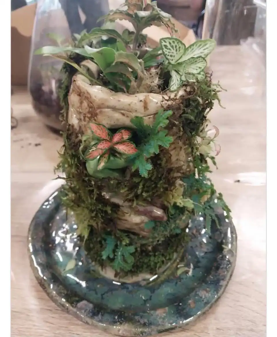 Ceramic tree-stump terrarium planted with ferns